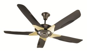 Ceiling Fan Installation Charlotte