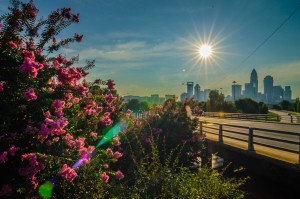 charlotte-city-skyline